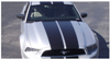 2013-14 Mustang - Tapered Lemans Racing Stripes - Glass Roof - Low Wing